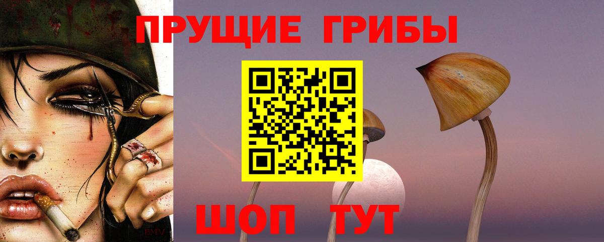 Псилоцибиновые грибы мухоморы  Псилоцибиновые грибы Magic Shrooms  Алейск  Вход с VPN 